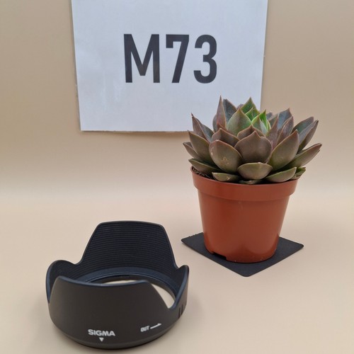 Sigma lh680 lens hood - hood, for